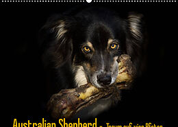 Kalender Australian Shepherd - Traum auf vier Pfoten (Wandkalender 2022 DIN A2 quer) von Andrea Mayer Tierfotografie