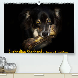 Kalender Australian Shepherd - Traum auf vier Pfoten (Premium, hochwertiger DIN A2 Wandkalender 2022, Kunstdruck in Hochglanz) von Andrea Mayer Tierfotografie