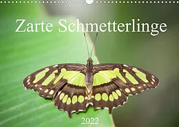 Kalender Zarte Schmetterlinge (Wandkalender 2022 DIN A3 quer) von Markus Gann (magann)