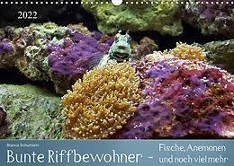 Kalender Bunte Riffbewohner - Fische, Anemonen und noch viel mehr (Wandkalender 2022 DIN A3 quer) von Bianca Schumann