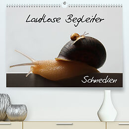 Kalender Lautlose Begleiter - Schnecken (Premium, hochwertiger DIN A2 Wandkalender 2022, Kunstdruck in Hochglanz) von Wibke Geiling