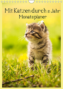 Kalender Mit Katzen durchs Jahr / Planer (Wandkalender 2022 DIN A4 hoch) von Yvonne Obermüller Fotografie