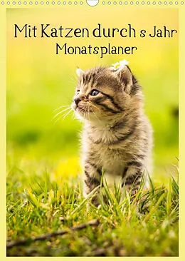 Kalender Mit Katzen durchs Jahr / Planer (Wandkalender 2022 DIN A3 hoch) von Yvonne Obermüller Fotografie