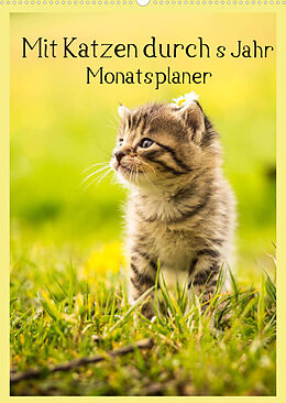 Kalender Mit Katzen durchs Jahr / Planer (Wandkalender 2022 DIN A2 hoch) von Yvonne Obermüller Fotografie