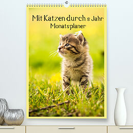 Kalender Mit Katzen durchs Jahr / Planer (Premium, hochwertiger DIN A2 Wandkalender 2022, Kunstdruck in Hochglanz) von Yvonne Obermüller Fotografie