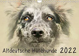 Kalender Altdeutsche Hütehunde 2022 (Wandkalender 2022 DIN A4 quer) von Andrea Redecker
