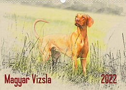 Kalender Magyar Vizsla 2022 (Wandkalender 2022 DIN A3 quer) von Andrea Redecker