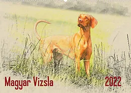 Kalender Magyar Vizsla 2022 (Wandkalender 2022 DIN A2 quer) von Andrea Redecker