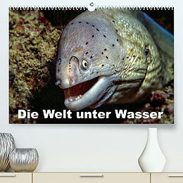 Kalender Die Welt unter Wasser (Premium, hochwertiger DIN A2 Wandkalender 2022, Kunstdruck in Hochglanz) von Dieter Gödecke