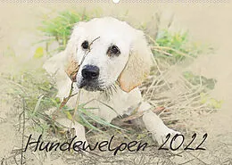 Kalender Hundewelpen 2022 (Wandkalender 2022 DIN A2 quer) von Andrea Redecker