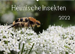 Kalender Heimische Insekten 2022 (Wandkalender 2022 DIN A2 quer) von Silvia Hahnefeld