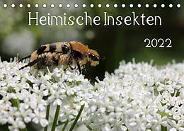 Kalender Heimische Insekten 2022 (Tischkalender 2022 DIN A5 quer) von Silvia Hahnefeld