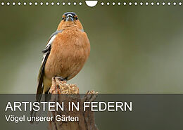 Kalender Artisten in Federn - Vögel unserer Gärten (Wandkalender 2022 DIN A4 quer) von Alexander Krebs
