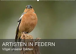 Kalender Artisten in Federn - Vögel unserer Gärten (Wandkalender 2022 DIN A2 quer) von Alexander Krebs