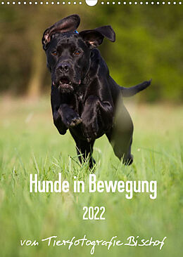 Kalender Hunde in Bewegung 2022 von Tierfotografie Bischof (Wandkalender 2022 DIN A3 hoch) von Tierfotografie Bischof
