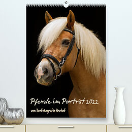Kalender Pferde im Portait (Premium, hochwertiger DIN A2 Wandkalender 2022, Kunstdruck in Hochglanz) von Melanie Bischof, Tierfotografie Bischof