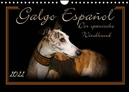 Kalender Galgo Español 2022- Der spanische Windhund (Wandkalender 2022 DIN A4 quer) von Andrea Redecker
