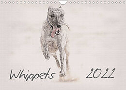 Kalender Whippet 2022 (Wandkalender 2022 DIN A4 quer) von Andrea Redecker