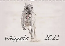 Kalender Whippet 2022 (Wandkalender 2022 DIN A3 quer) von Andrea Redecker
