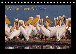 Kalender Wilde Tiere Afrikas (Tischkalender 2022 DIN A5 quer) von Uta Depner