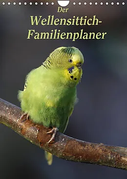 Kalender Der Wellensittich-Familienplaner (Wandkalender 2022 DIN A4 hoch) von Antje Lindert-Rottke