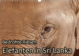 Kalender Bedrohte Riesen - Elefanten in Sri Lanka (Wandkalender 2022 DIN A3 quer) von Jörg Sobottka