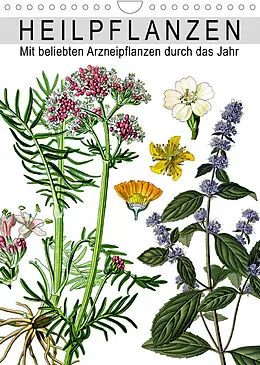 Kalender Heilpflanzen (Wandkalender 2022 DIN A4 hoch) von Bilder: bilwissedition.com Layout: Babette Reek