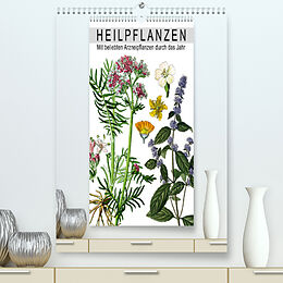 Kalender Heilpflanzen (Premium, hochwertiger DIN A2 Wandkalender 2022, Kunstdruck in Hochglanz) von Bilder: bilwissedition.com Layout: Babette Reek