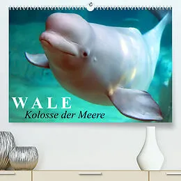 Kalender Wale - Kolosse der Meere (Premium, hochwertiger DIN A2 Wandkalender 2022, Kunstdruck in Hochglanz) von Elisabeth Stanzer