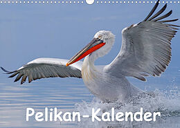 Kalender Pelikan-Kalender (Wandkalender 2022 DIN A3 quer) von Gerald Wolf