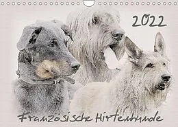 Kalender Französische Hirtenhunde 2022 (Wandkalender 2022 DIN A4 quer) von Andrea Redecker