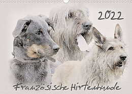 Kalender Französische Hirtenhunde 2022 (Wandkalender 2022 DIN A3 quer) von Andrea Redecker