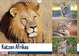 Kalender Katzen Afrikas (Wandkalender 2022 DIN A4 quer) von Michael Herzog