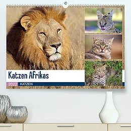 Kalender Katzen Afrikas (Premium, hochwertiger DIN A2 Wandkalender 2022, Kunstdruck in Hochglanz) von Michael Herzog