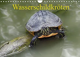 Kalender Wasserschildkröten (Wandkalender 2022 DIN A4 quer) von Klaudia Kretschmann
