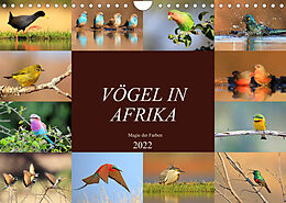 Kalender Vögel in Afrika - Magie der Farben (Wandkalender 2022 DIN A4 quer) von Michael Herzog