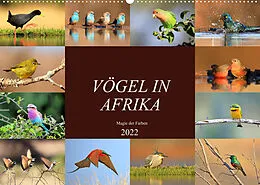 Kalender Vögel in Afrika - Magie der Farben (Wandkalender 2022 DIN A2 quer) von Michael Herzog