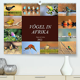Kalender Vögel in Afrika - Magie der Farben (Premium, hochwertiger DIN A2 Wandkalender 2022, Kunstdruck in Hochglanz) von Michael Herzog