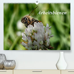 Kalender Arbeitsbienen (Premium, hochwertiger DIN A2 Wandkalender 2022, Kunstdruck in Hochglanz) von Klaudia Kretschmann