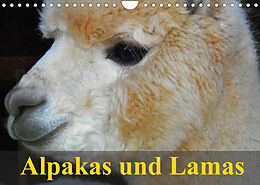 Kalender Alpakas und Lamas (Wandkalender 2022 DIN A4 quer) von Elisabeth Stanzer