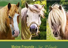 Kalender Meine Freunde - die Pferde (Wandkalender 2022 DIN A2 quer) von AD DESIGN Photo + PhotoArt, Angela Dölling