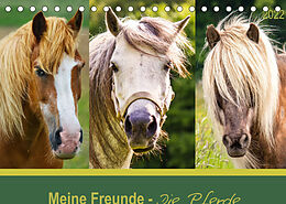 Kalender Meine Freunde - die Pferde (Tischkalender 2022 DIN A5 quer) von Angela Dölling, AD DESIGN Photo + PhotoArt