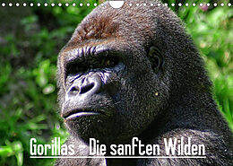 Kalender Gorillas - Die sanften Wilden (Wandkalender 2022 DIN A4 quer) von Peter Hebgen