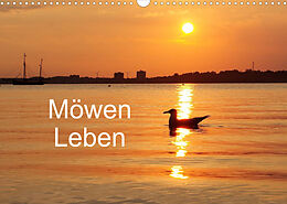 Kalender Möwen Leben (Wandkalender 2022 DIN A3 quer) von Tanja Riedel