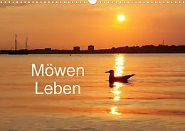 Kalender Möwen Leben (Wandkalender 2022 DIN A3 quer) von Tanja Riedel