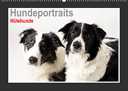 Kalender Hundeportraits - Hütehunde (Wandkalender 2022 DIN A2 quer) von Jasmin Hahn