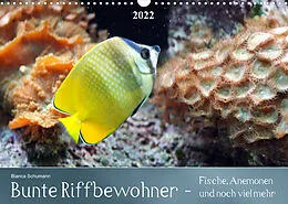 Kalender Bunte Riffbewohner - Fische, Anemonen und noch viel mehrCH-Version (Wandkalender 2022 DIN A3 quer) von Bianca Schumann