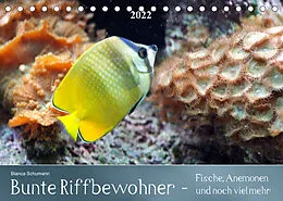 Kalender Bunte Riffbewohner - Fische, Anemonen und noch viel mehrCH-Version (Tischkalender 2022 DIN A5 quer) von Bianca Schumann