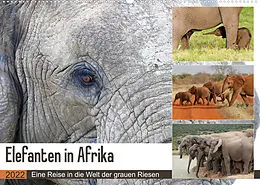 Kalender Elefanten in Afrika (Wandkalender 2022 DIN A2 quer) von Michael Herzog