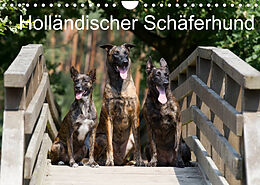 Kalender Holländischer Schäferhund (Wandkalender 2022 DIN A4 quer) von Fotodesign Verena Scholze